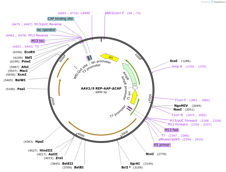 404982_map