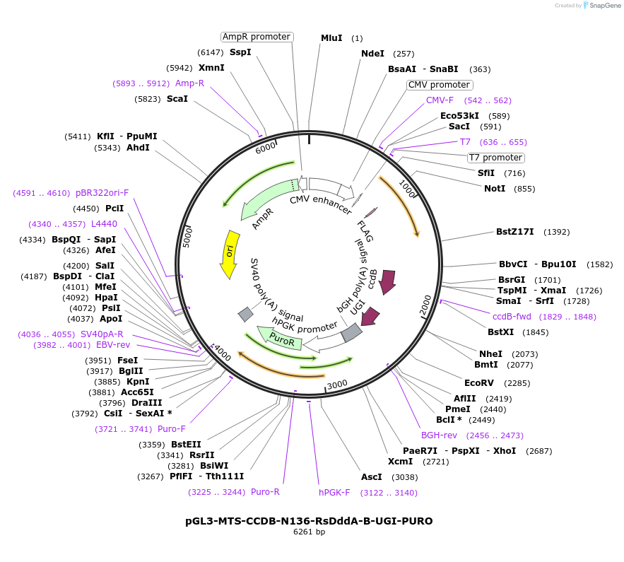 405617_map