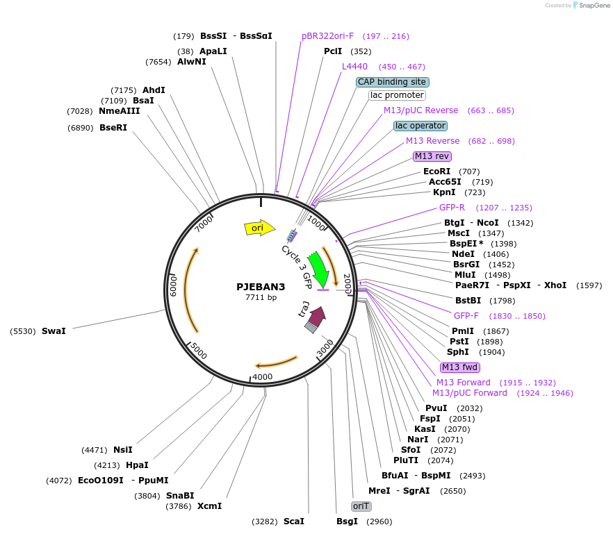 405712_map