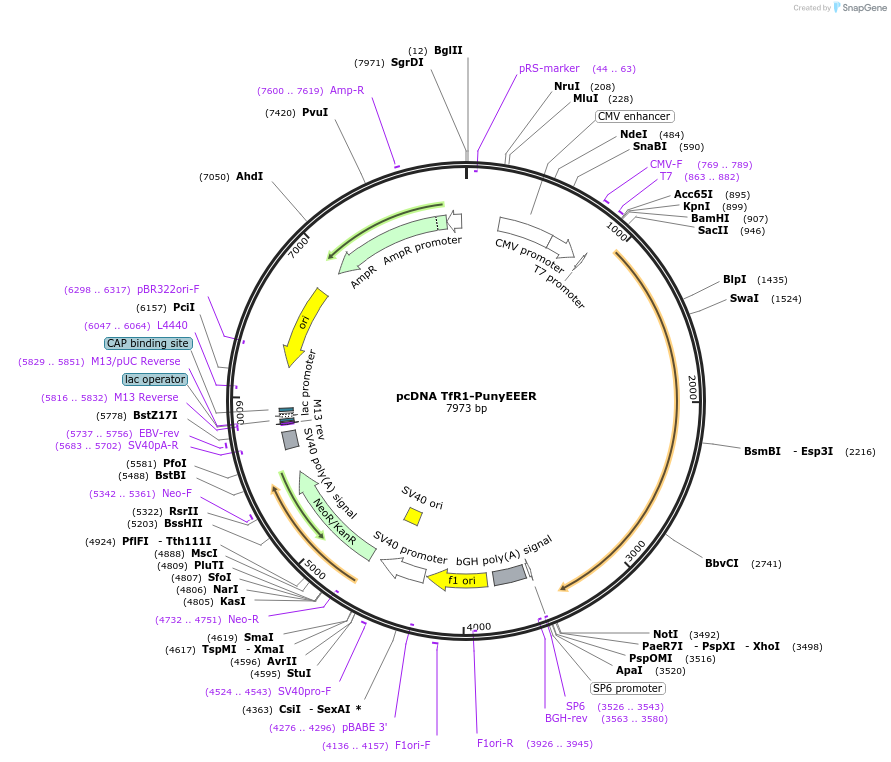 405915_map