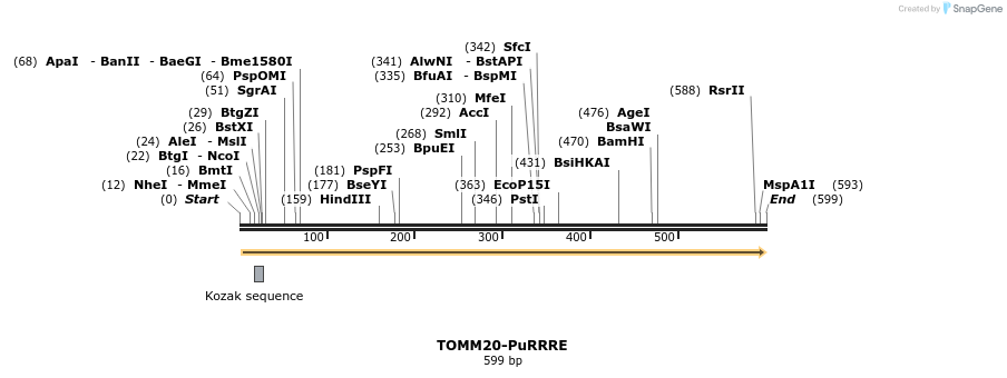 405920_map