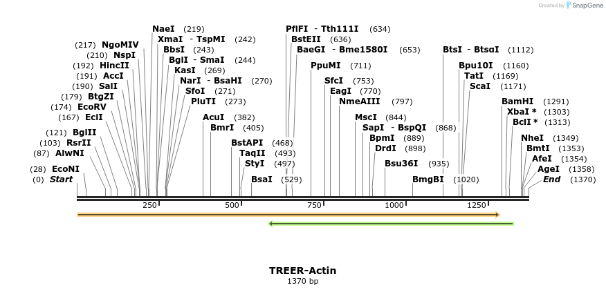 405921_map