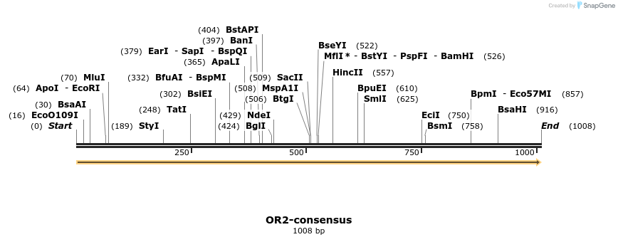 406145_map