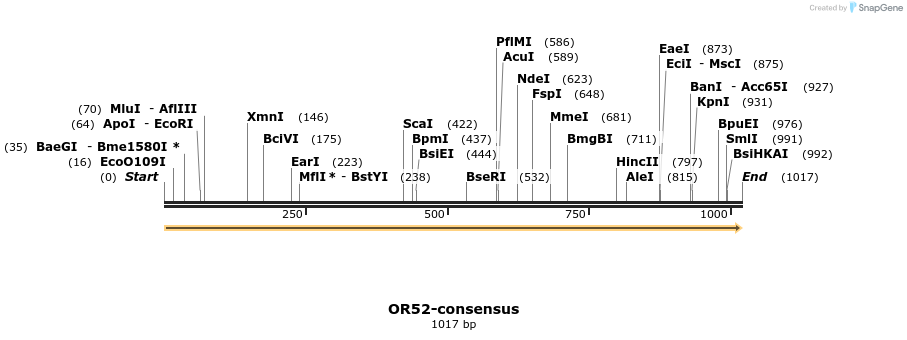 406155_map