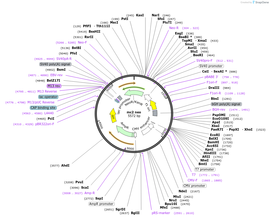 406162_map
