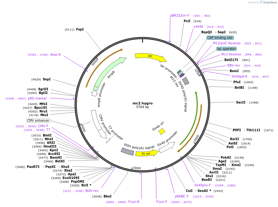 406165_map