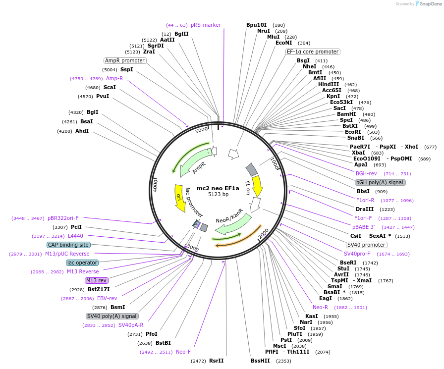 406172_map