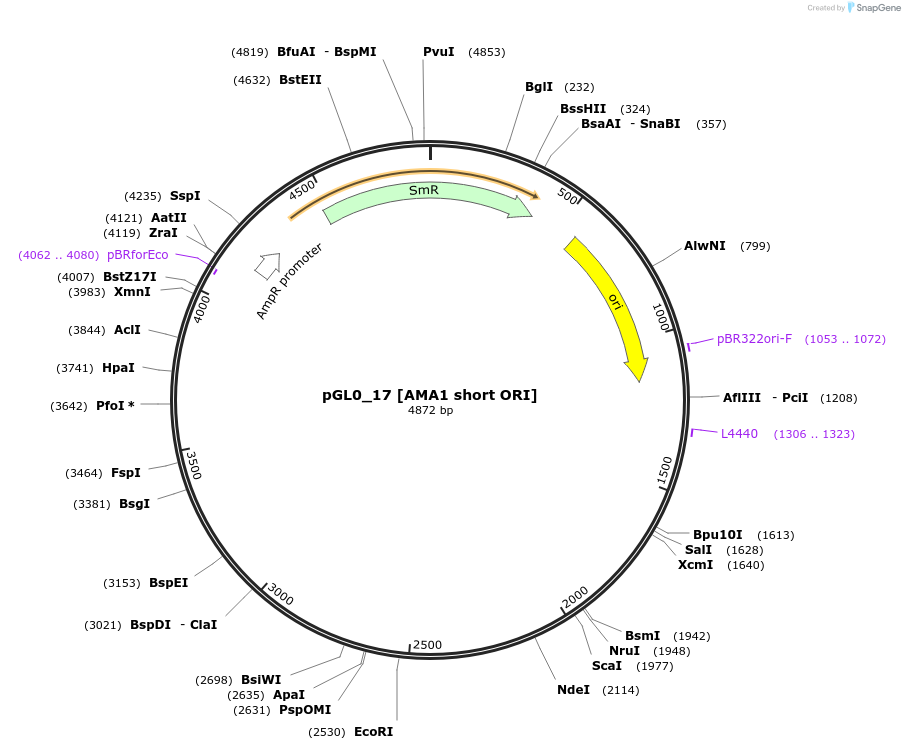406191_map