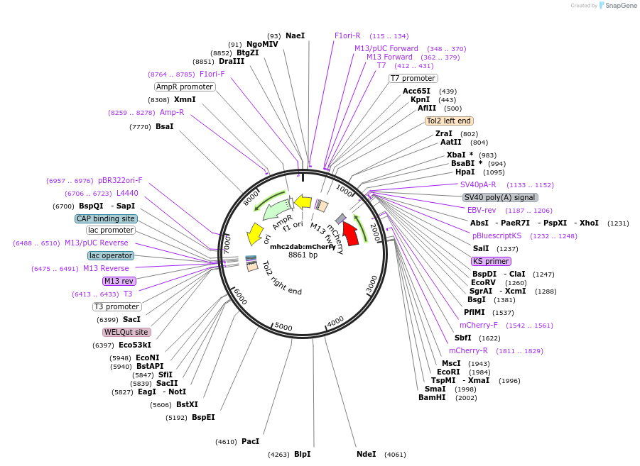406198_map