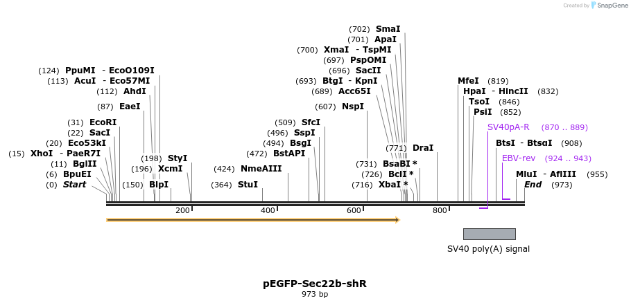 406210_map