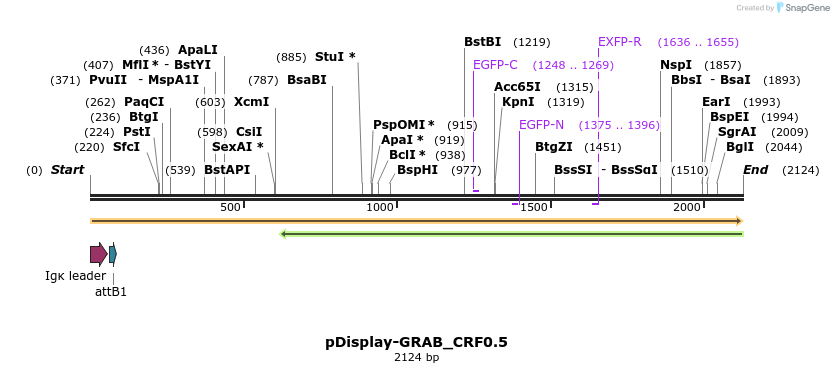 406468_map