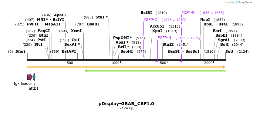 406471_map