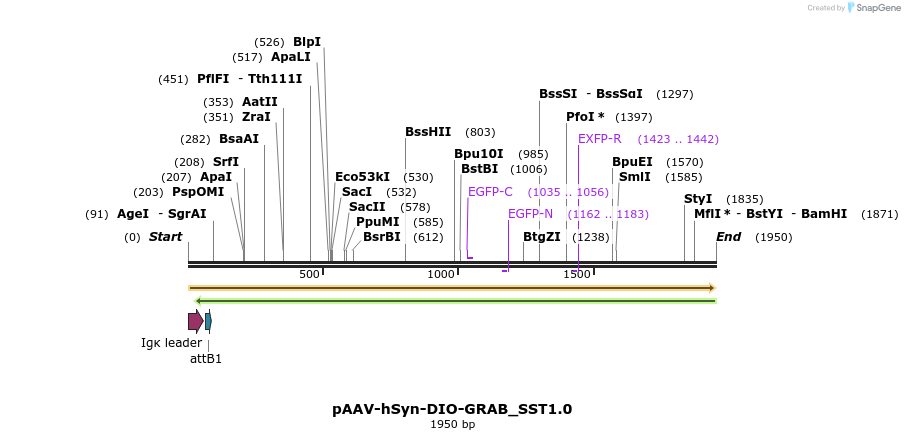 406496_map