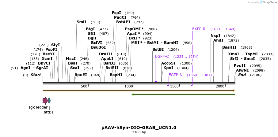 406501_map