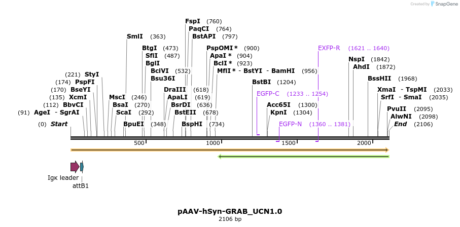 406503_map