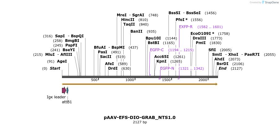 406508_map
