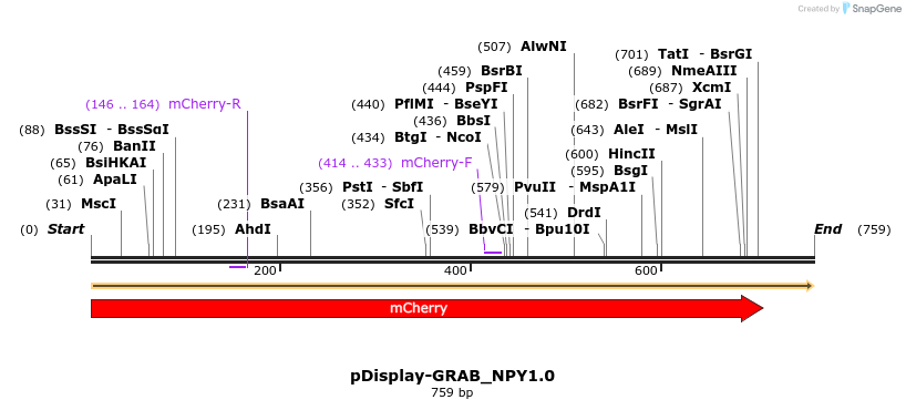406518_map
