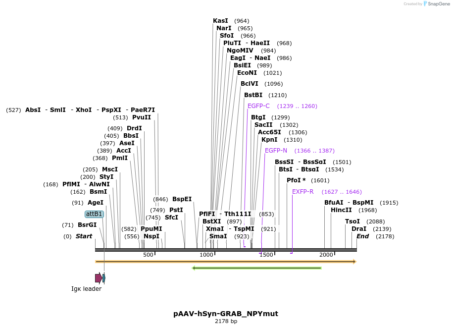 406527_map