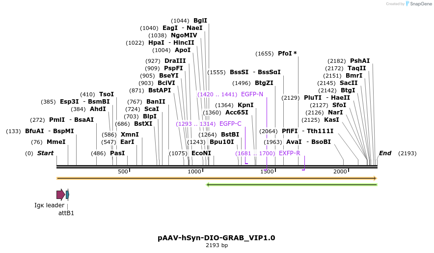 406529_map