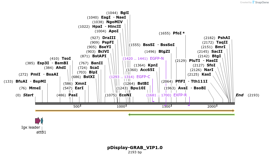 406533_map