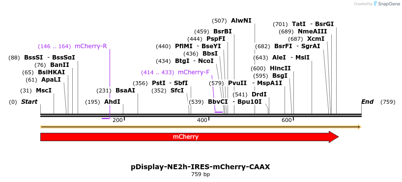 406554_map