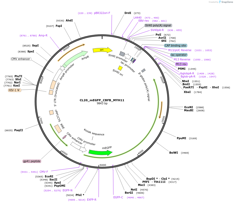 406600_map