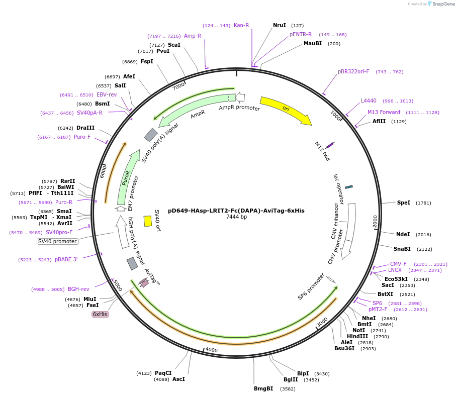 407020_map