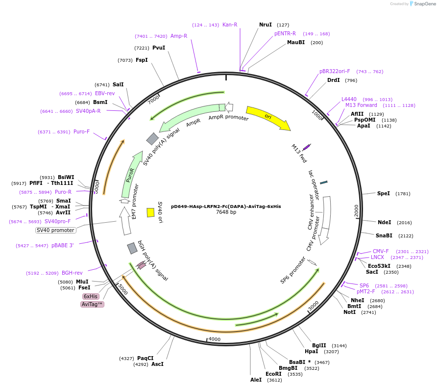 407021_map