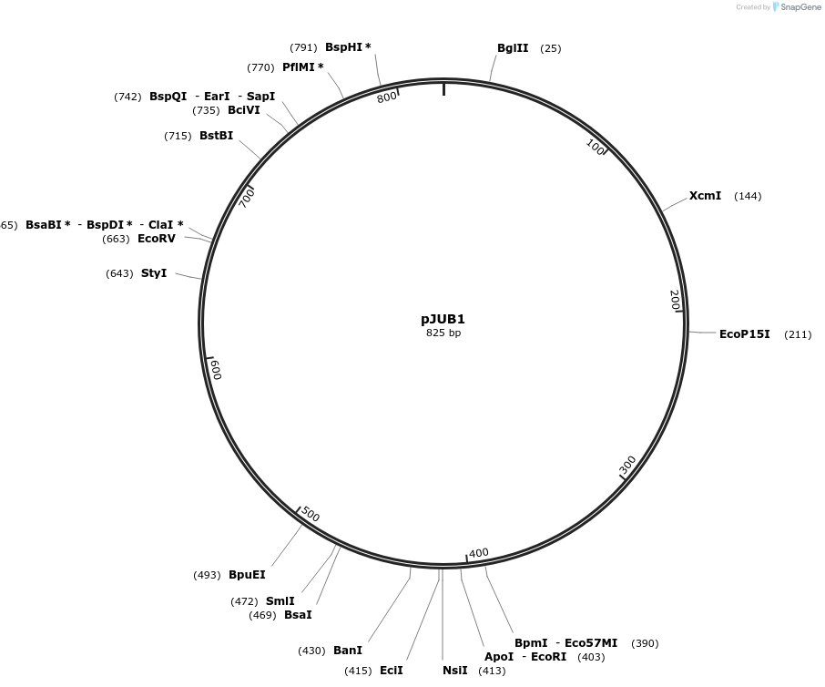 407035_map
