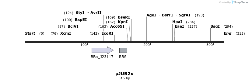 407079_map