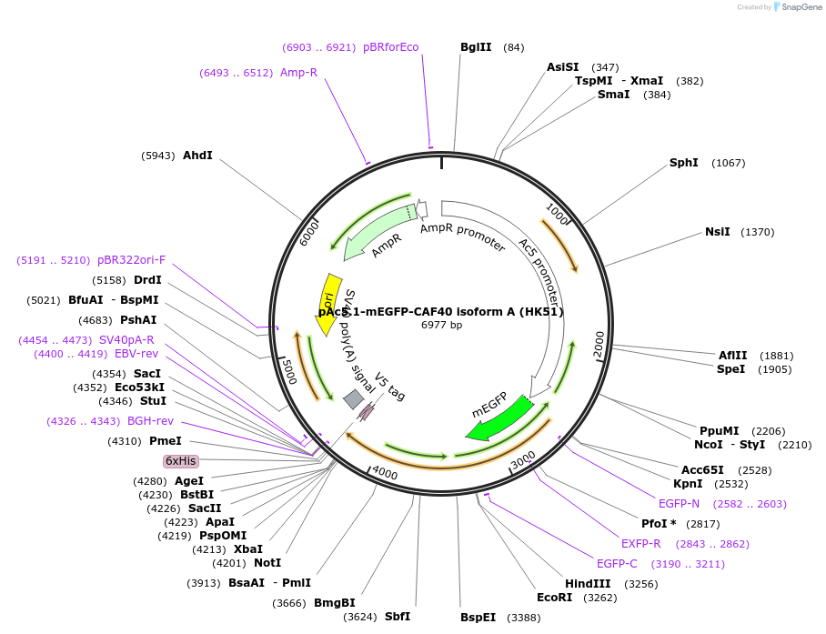 407103_map