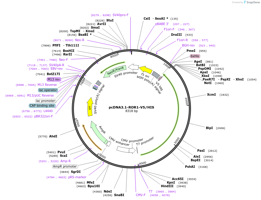 407175_map