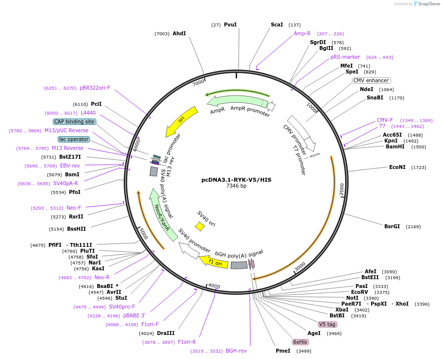 407210_map