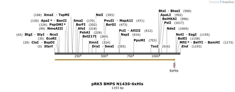 407211_map