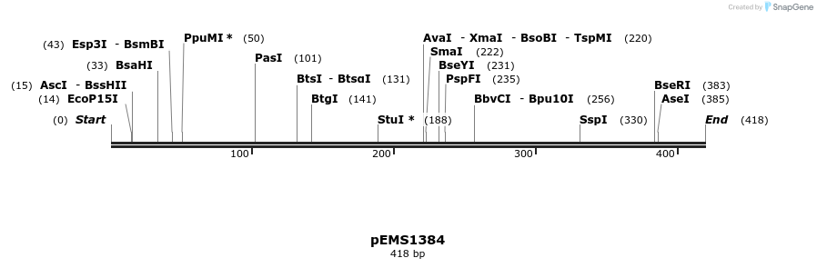 40731_map