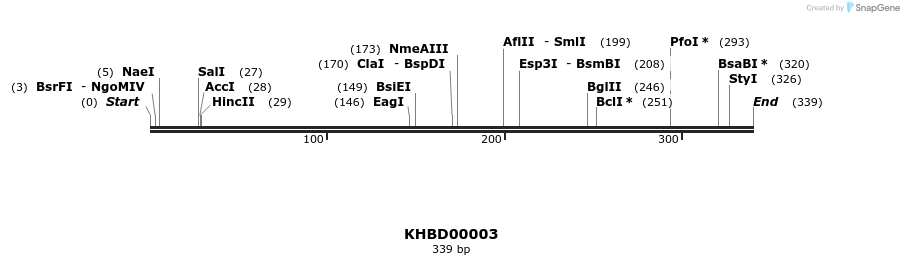 40733_map