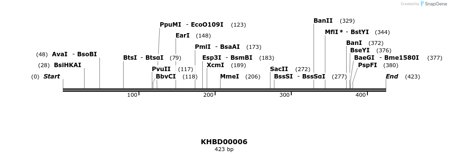 40736_map