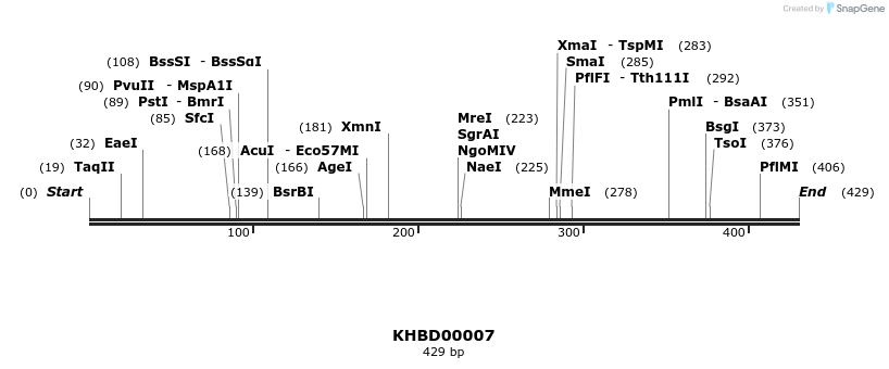 40737_map