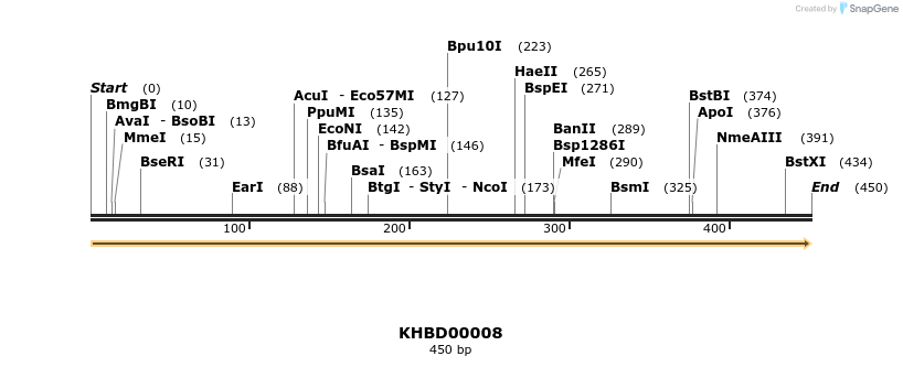 40738_map