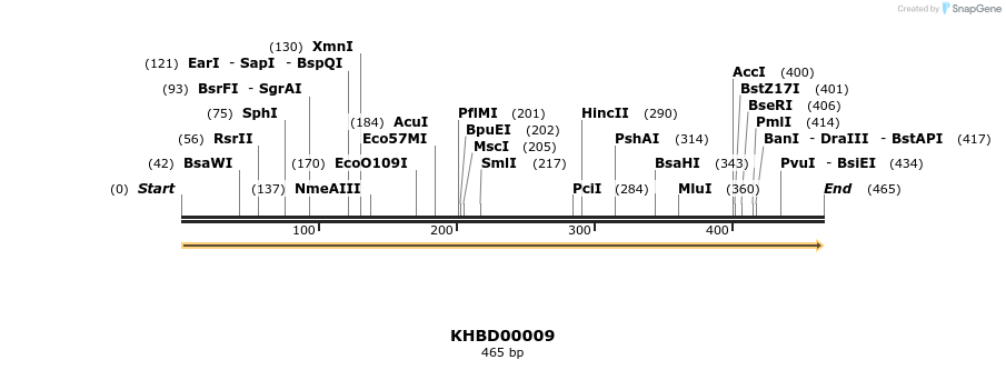 40739_map