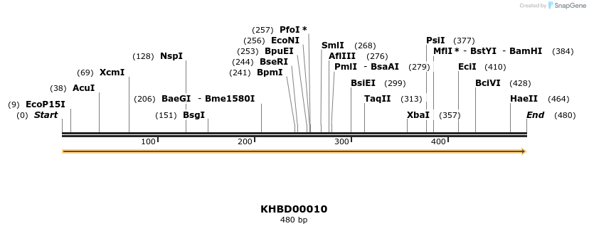 40740_map
