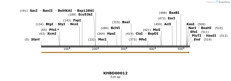 40741_map