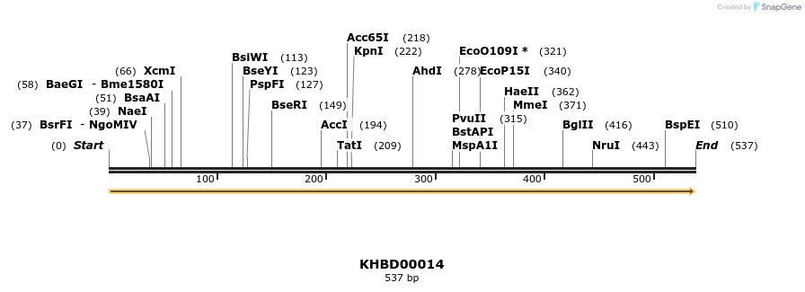 40743_map