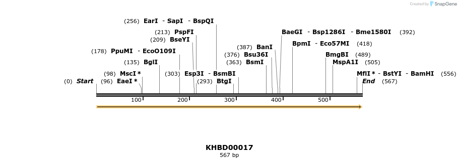 40746_map