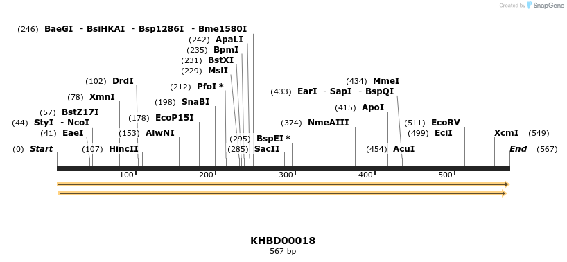 40747_map