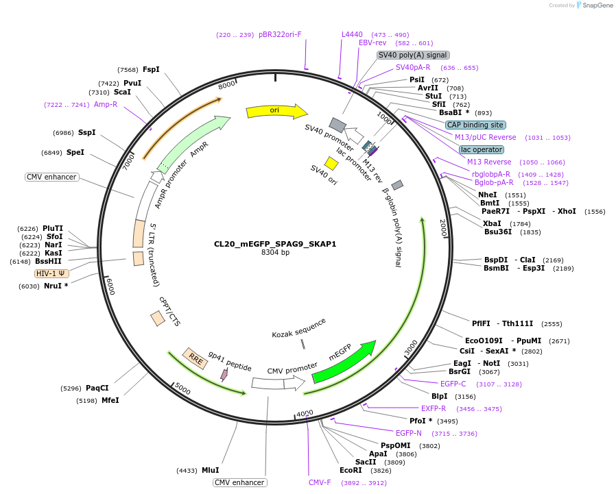 407471_map