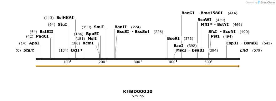 40749_map