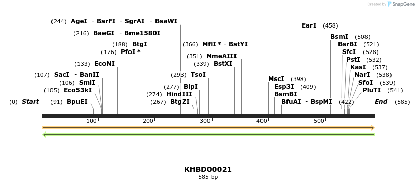 40750_map