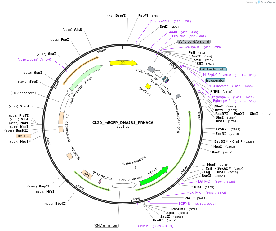 407502_map