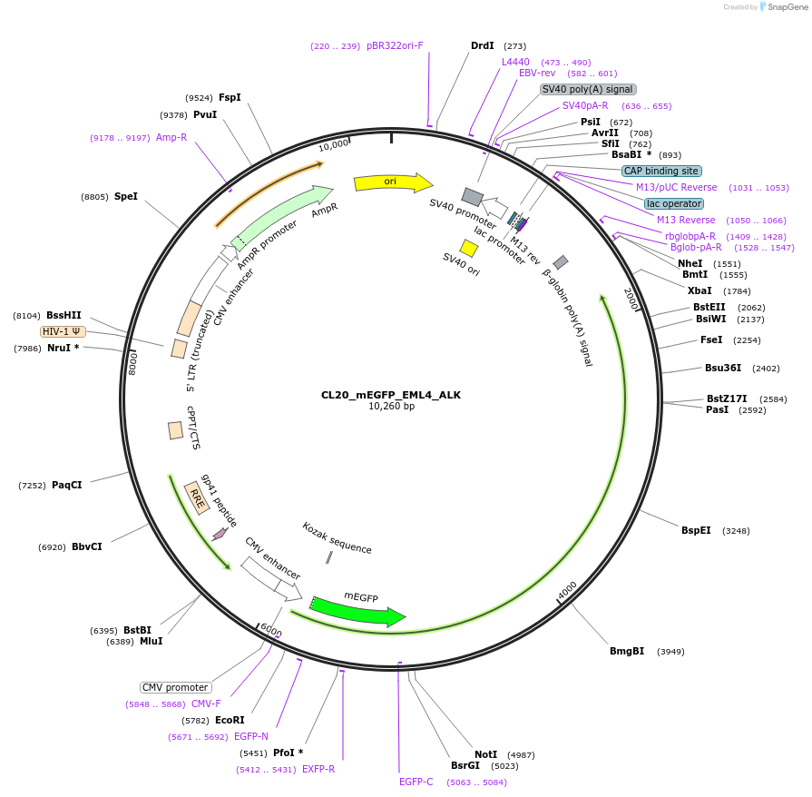 407509_map